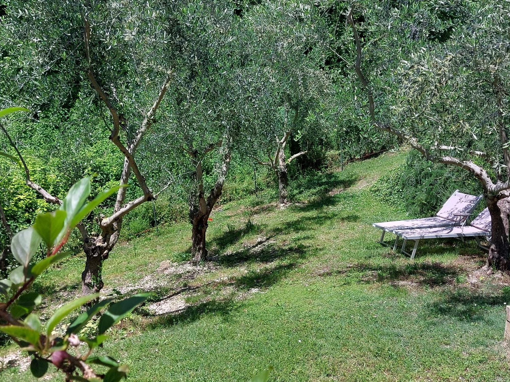 B&B Fonte Fresca Fabriano Kültér fotó